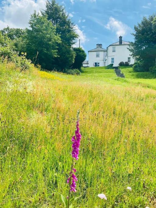 Aberhiriath Hall - The Old Georgian Manor House By The River Dyfi Cemmaes Esterno foto
